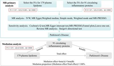 Plasma lipidome, circulating inflammatory proteins, and Parkinson’s disease: a Mendelian randomization study